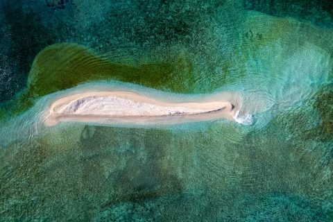 Recifs de l'Astrolabe — Coral Sea Natural Park, New Caledonia