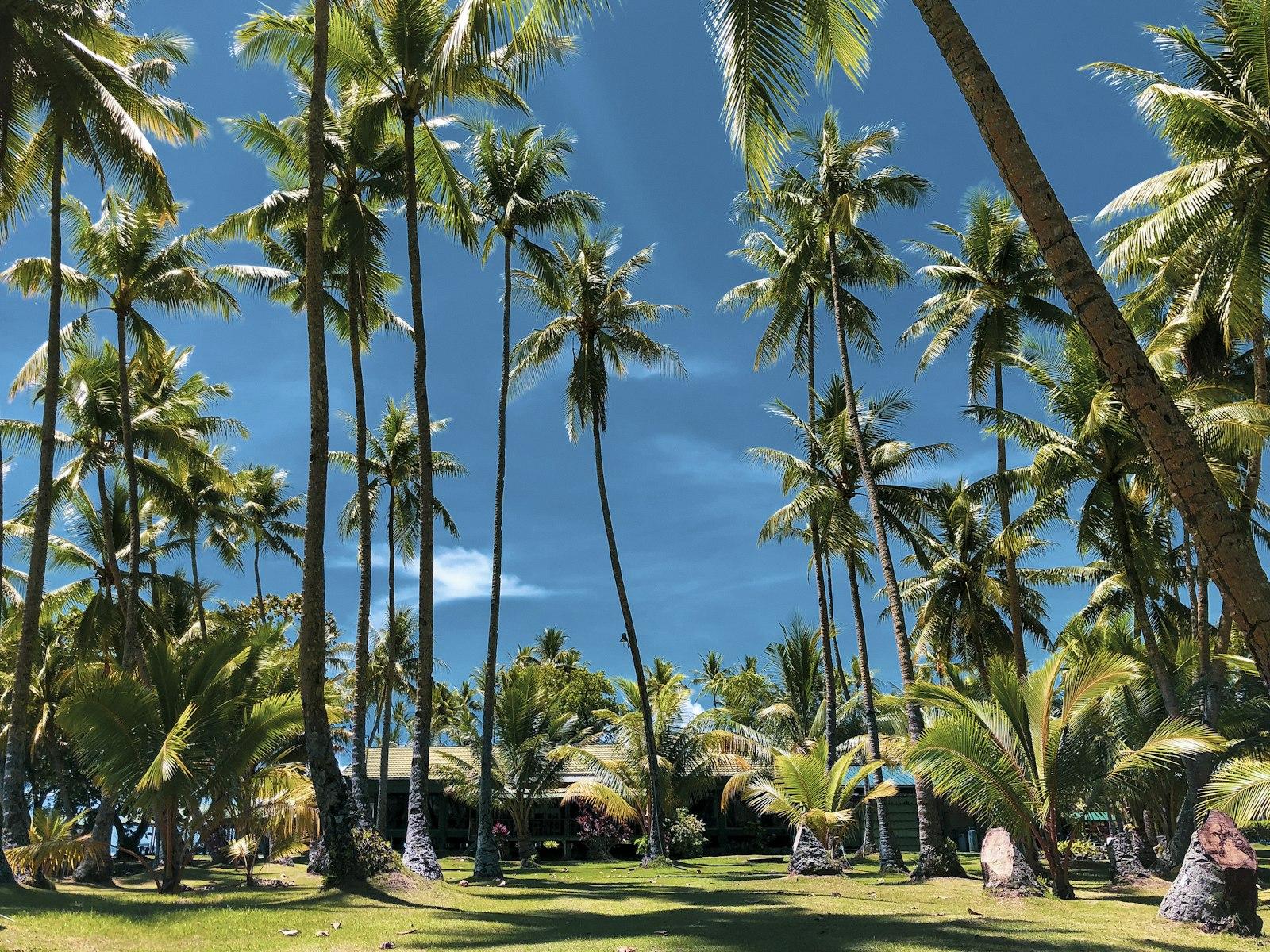 Pacific Islands Framework 2026-2030 — Regional consultation opens